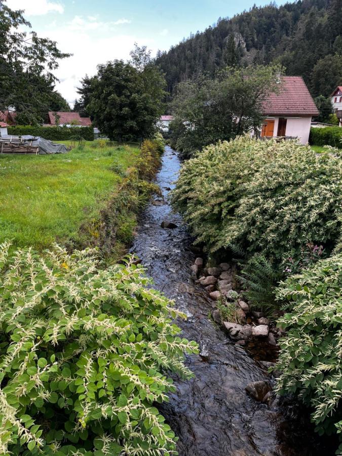 Les Ateliers Villa Gérardmer Buitenkant foto